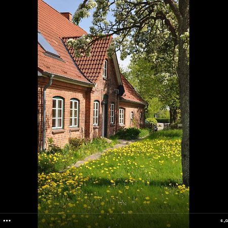 Hohenfelde  Landhaus Hohenfelde מראה חיצוני תמונה