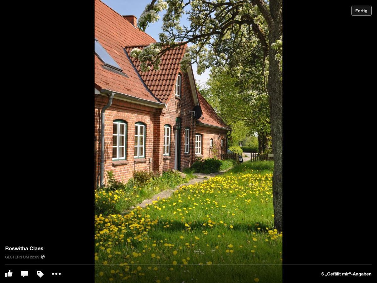 Hohenfelde  Landhaus Hohenfelde מראה חיצוני תמונה